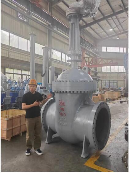 行走閥門江湖數(shù)十載！挺宇流體智能化新工廠預(yù)計(jì)2026年10月投入使用，開啟文化傳播新篇章